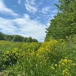 Lejlighed Auf Der Moselhoehe - Naehe Koblenz Und Cochem *