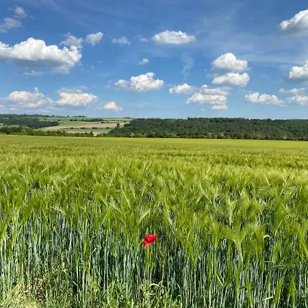 Appartement Auf Der Moselhoehe - Naehe Koblenz Und Cochem Dieblich