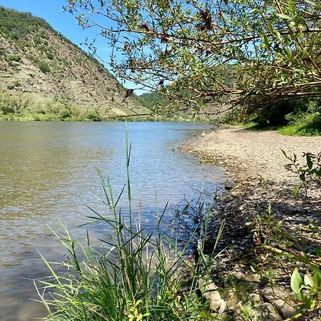 Apartman Auf Der Moselhoehe - Naehe Koblenz Und Cochem