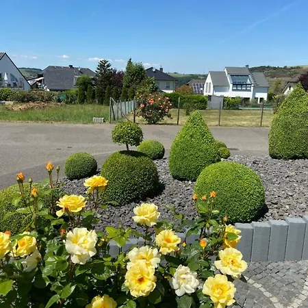 Auf Der Moselhoehe - Naehe Koblenz Und Cochem