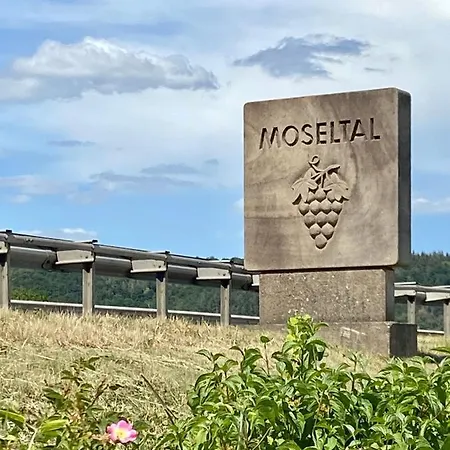 Auf Der Moselhoehe - Naehe Koblenz Und Cochem Apartman