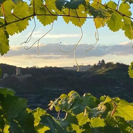 Auf Der Moselhoehe - Naehe Koblenz Und Cochem