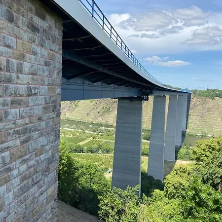 Auf Der Moselhoehe - Naehe Koblenz Und Cochem *