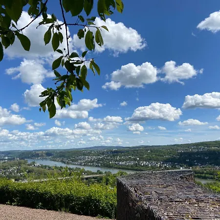 Auf Der Moselhoehe - Naehe Koblenz Und Cochem *