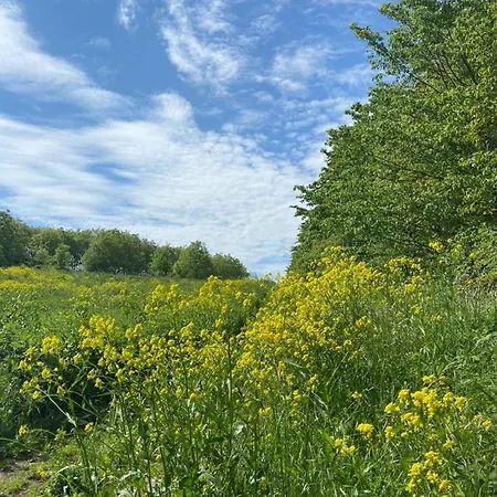 Daire Auf Der Moselhoehe - Naehe Koblenz Und Cochem *