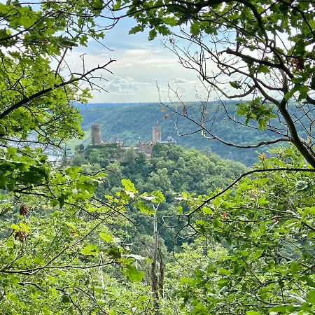 Auf Der Moselhoehe - Naehe Koblenz Und Cochem *