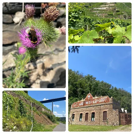Daire Auf Der Moselhoehe - Naehe Koblenz Und Cochem Dieblich