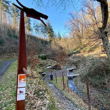 Appartamento Auf Der Moselhoehe - Naehe Koblenz Und Cochem *