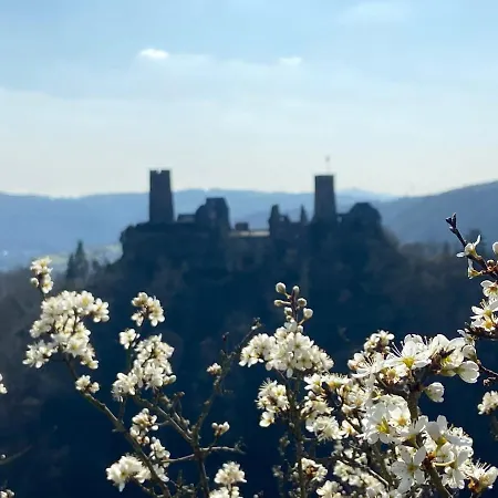 Auf Der Moselhoehe - Naehe Koblenz Und Cochem *
