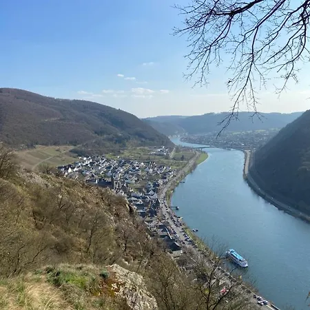 Auf Der Moselhoehe - Naehe Koblenz Und Cochem * Dieblich
