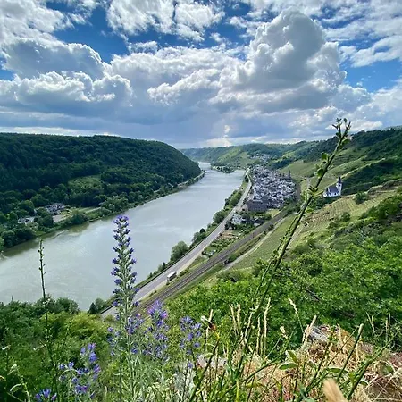 Auf Der Moselhoehe - Naehe Koblenz Und Cochem * Dieblich
