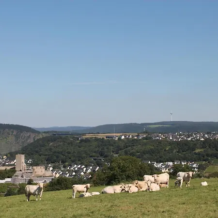 Auf Der Moselhoehe - Naehe Koblenz Und Cochem 아파트 디에블리흐