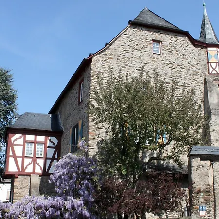 Auf Der Moselhoehe - Naehe Koblenz Und Cochem * Dieblich