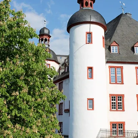 Auf Der Moselhoehe - Naehe Koblenz Und Cochem Appartement