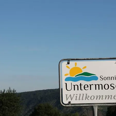 Auf Der Moselhoehe - Naehe Koblenz Und Cochem Daire Dieblich