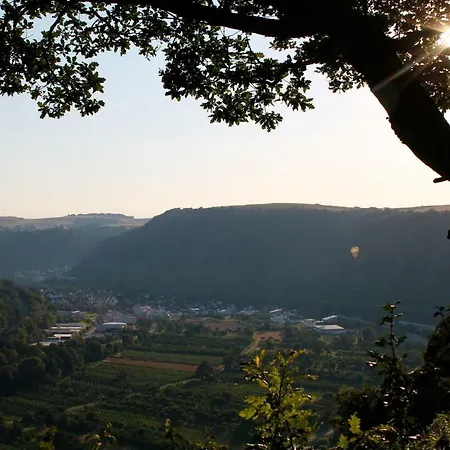Auf Der Moselhoehe - Naehe Koblenz Und Cochem *