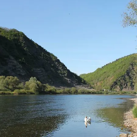 Auf Der Moselhoehe - Naehe Koblenz Und Cochem * ディーブリヒ