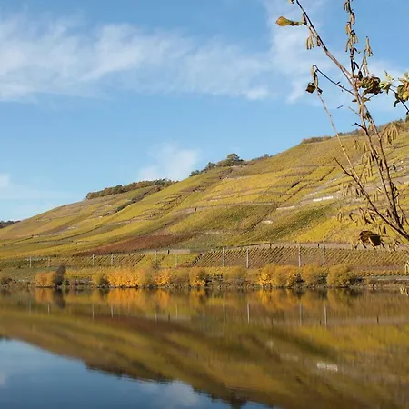 Daire Auf Der Moselhoehe - Naehe Koblenz Und Cochem Dieblich