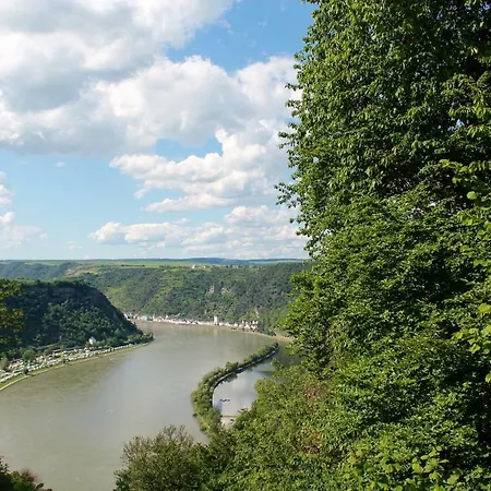 Auf Der Moselhoehe - Naehe Koblenz Und Cochem