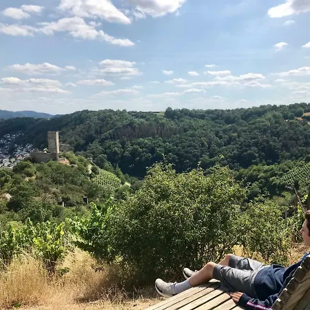 Appartement Auf Der Moselhoehe - Naehe Koblenz Und Cochem *