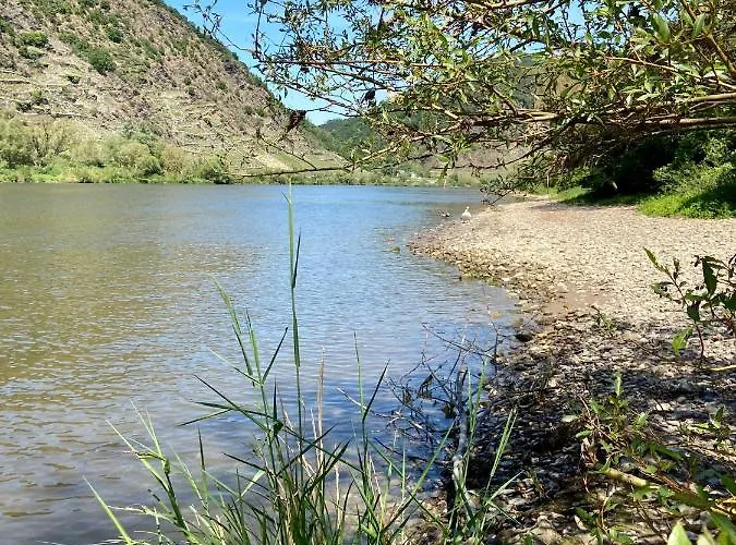 Appartement Auf Der Moselhoehe - Naehe Koblenz Und Cochem