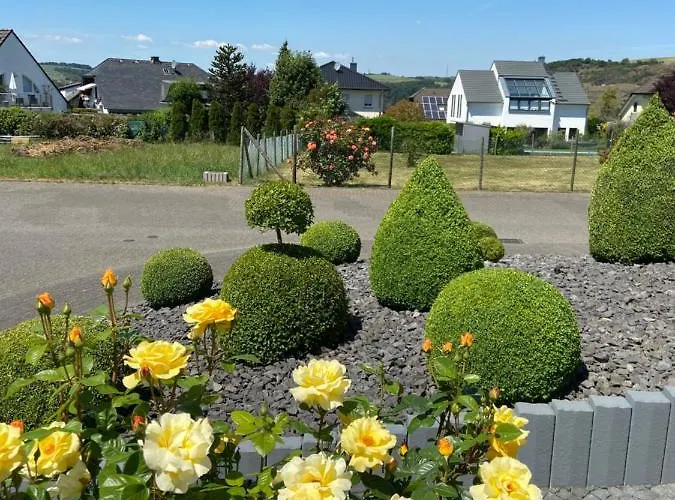 Auf Der Moselhoehe - Naehe Koblenz Und Cochem