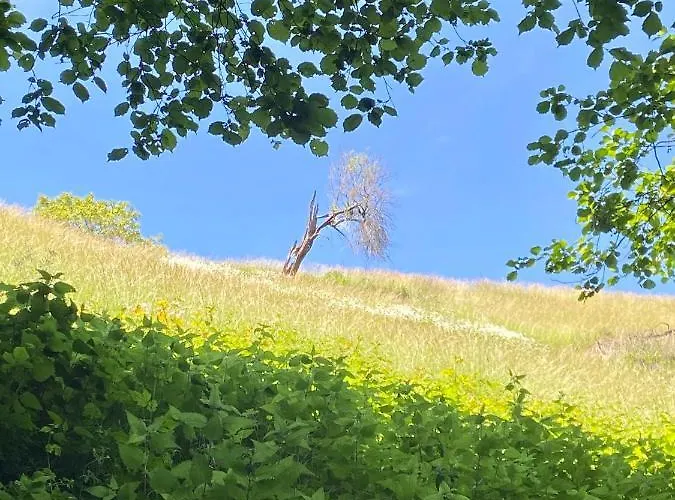 Appartement Auf Der Moselhoehe - Naehe Koblenz Und Cochem Dieblich