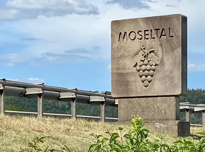 Auf Der Moselhoehe - Naehe Koblenz Und Cochem Appartement