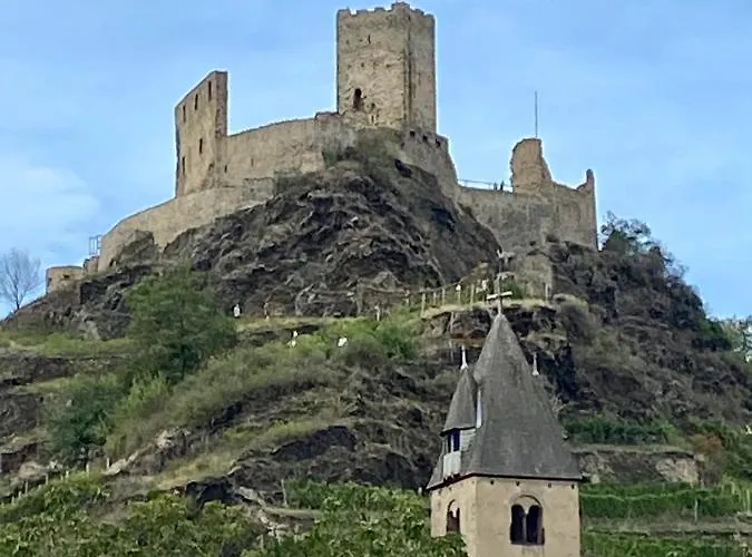 Auf Der Moselhoehe - Naehe Koblenz Und Cochem ディーブリヒ