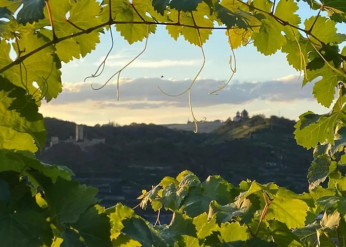 Auf Der Moselhoehe - Naehe Koblenz Und Cochem