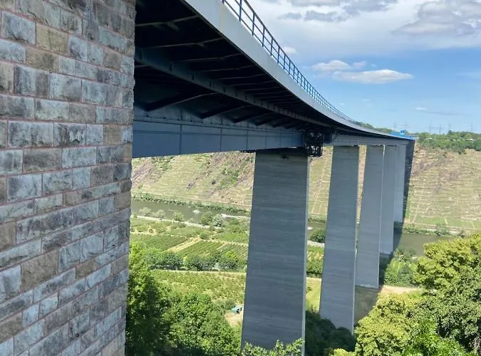 Auf Der Moselhoehe - Naehe Koblenz Und Cochem *