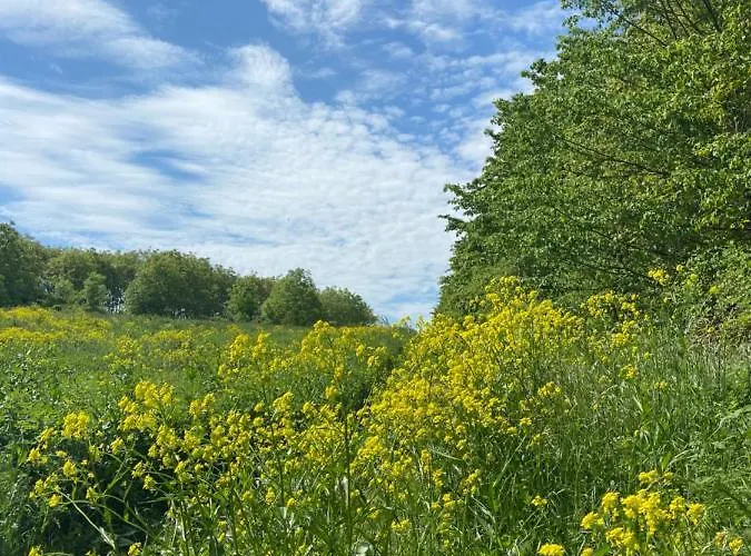 Appartement Auf Der Moselhoehe - Naehe Koblenz Und Cochem *