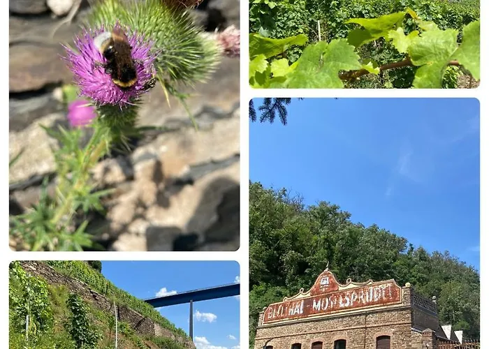 Appartement Auf Der Moselhoehe - Naehe Koblenz Und Cochem Dieblich