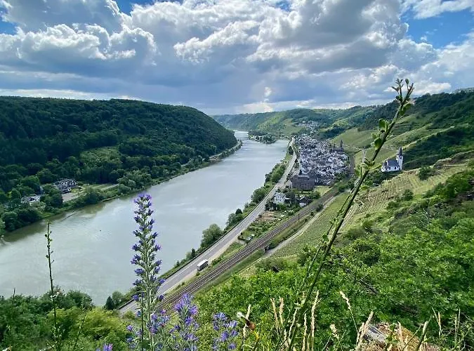 Auf Der Moselhoehe - Naehe Koblenz Und Cochem * Dieblich