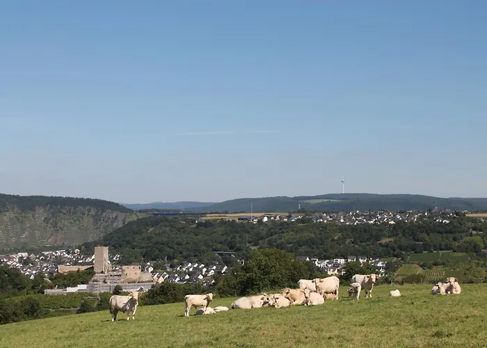 Auf Der Moselhoehe - Naehe Koblenz Und Cochem Appartement Dieblich