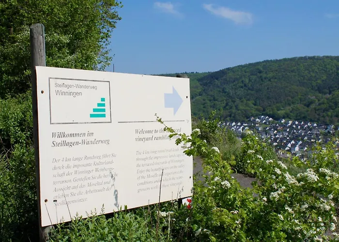 Auf Der Moselhoehe - Naehe Koblenz Und Cochem Appartement *