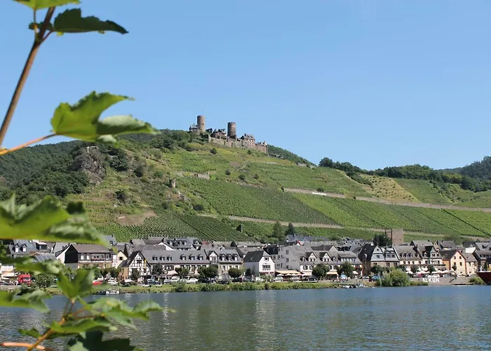 Auf Der Moselhoehe - Naehe Koblenz Und Cochem *