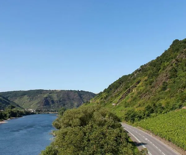 Auf Der Moselhoehe - Naehe Koblenz Und Cochem Appartement Dieblich