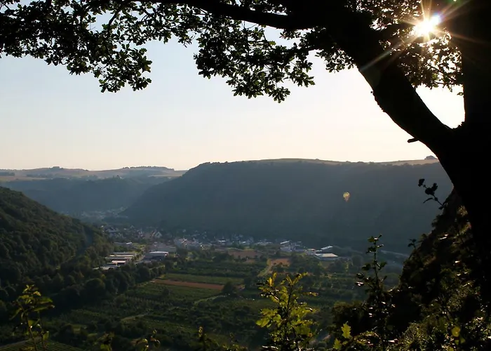 Auf Der Moselhoehe - Naehe Koblenz Und Cochem *