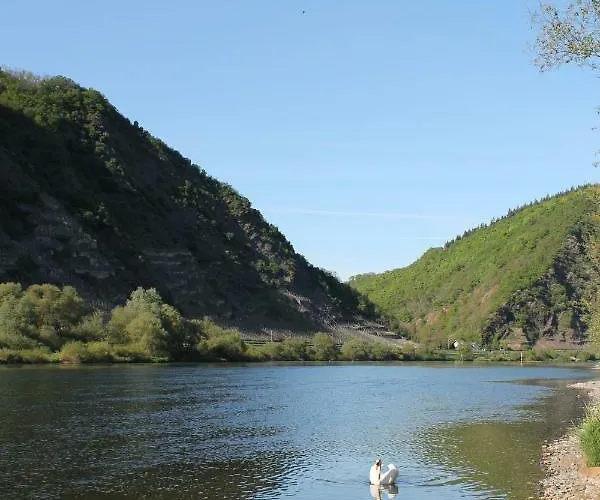 Auf Der Moselhoehe - Naehe Koblenz Und Cochem * Dieblich