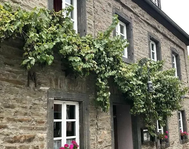 Auf Der Moselhoehe - Naehe Koblenz Und Cochem Appartement