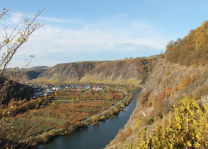 Auf Der Moselhoehe - Naehe Koblenz Und Cochem Appartement *