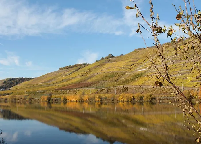 Appartement Auf Der Moselhoehe - Naehe Koblenz Und Cochem Dieblich