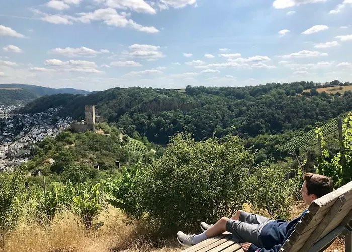 Appartement Auf Der Moselhoehe - Naehe Koblenz Und Cochem *